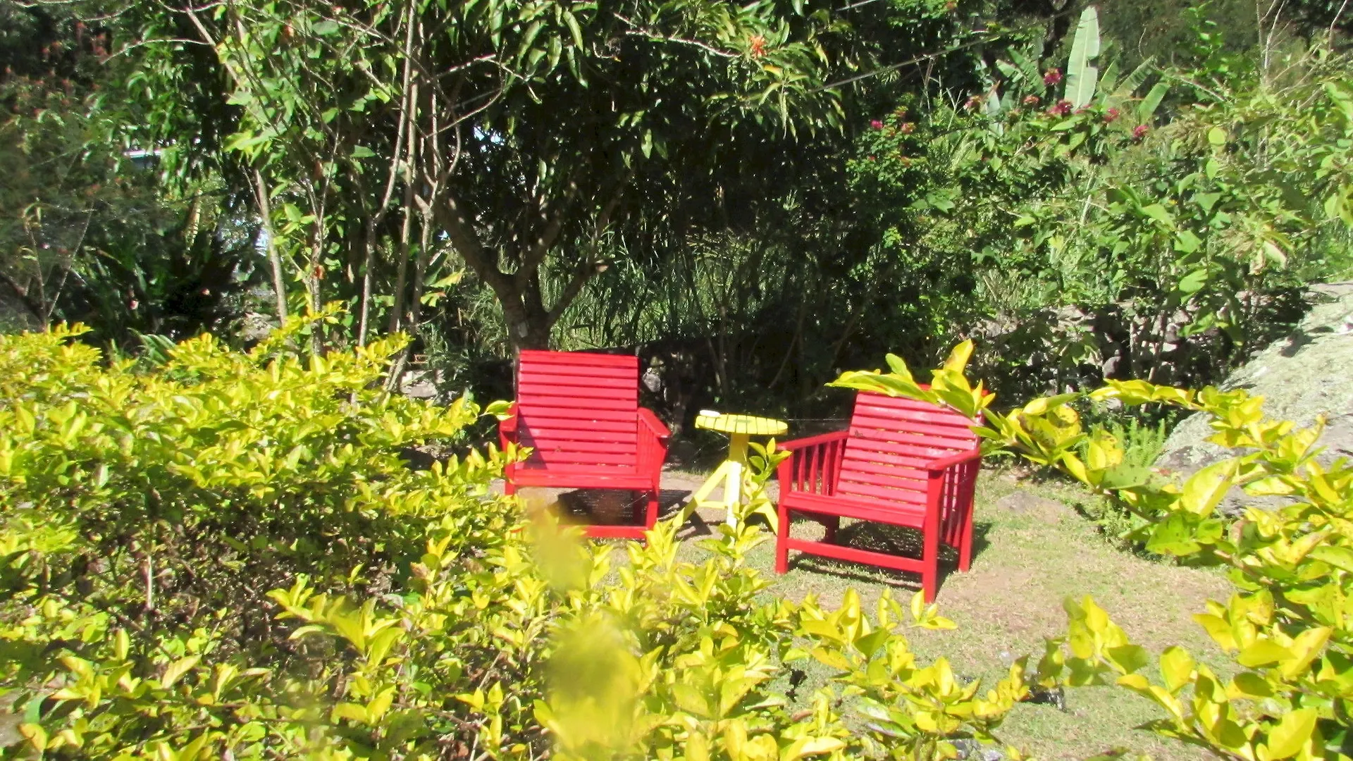 ***  Rafjam Bed & Breakfast Kingston Jamaika